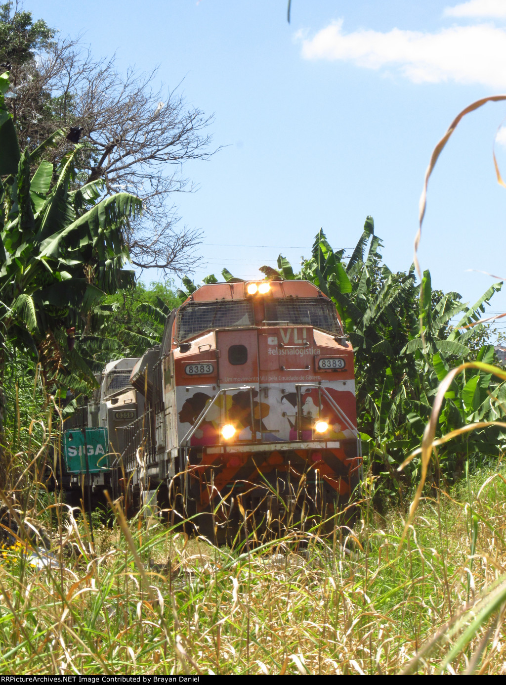 VLI 8383